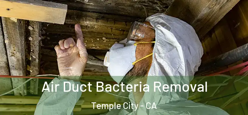  Air Duct Bacteria Removal Temple City - CA