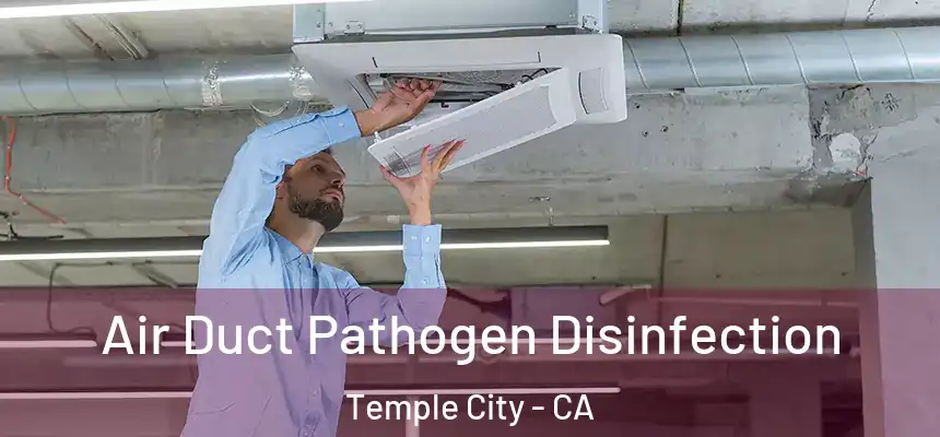  Air Duct Pathogen Disinfection Temple City - CA