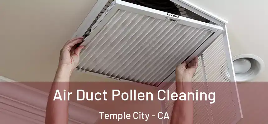  Air Duct Pollen Cleaning Temple City - CA