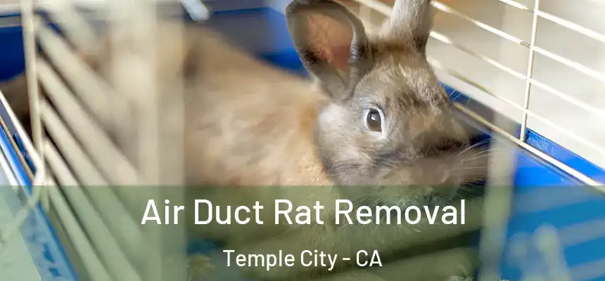  Air Duct Rat Removal Temple City - CA