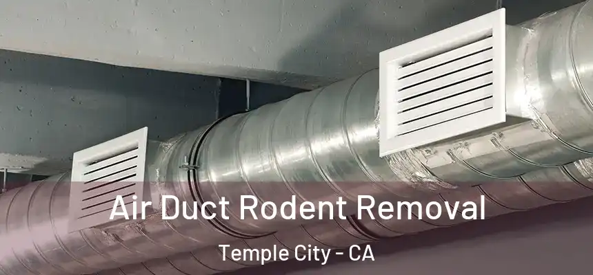  Air Duct Rodent Removal Temple City - CA