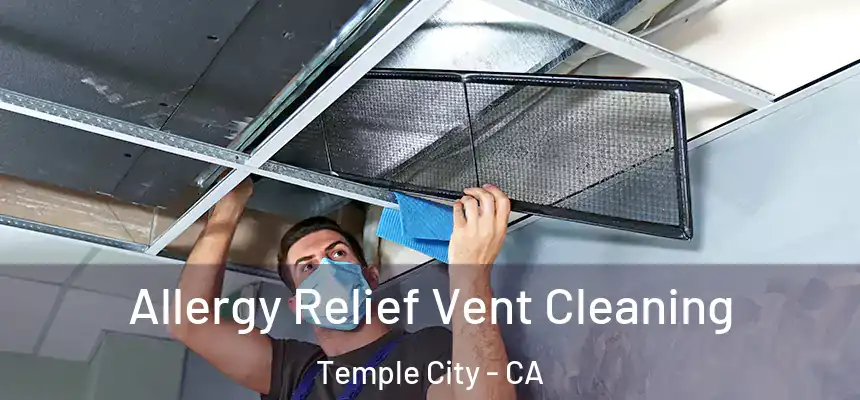 Allergy Relief Vent Cleaning Temple City - CA