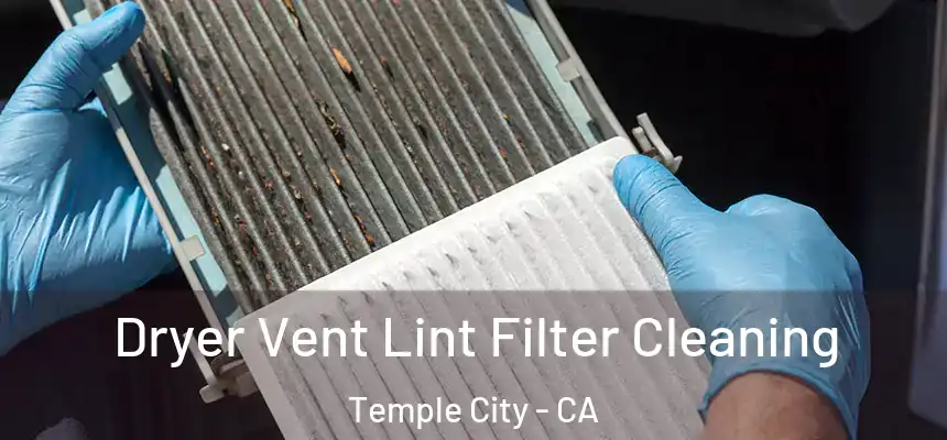 Dryer Vent Lint Filter Cleaning Temple City - CA