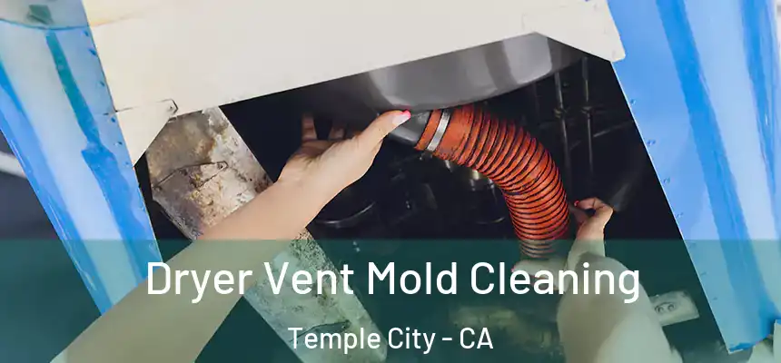 Dryer Vent Mold Cleaning Temple City - CA