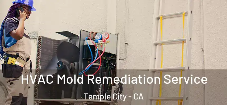 HVAC Mold Remediation Service Temple City - CA
