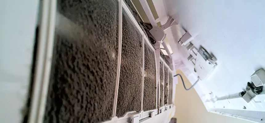 Preventive Air Duct Bacteria Removal in Temple City