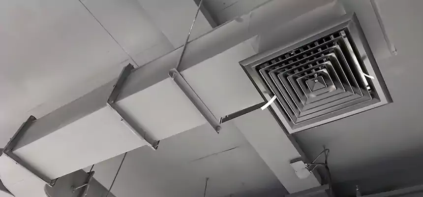 Restorative Allergy Relief Vent Cleaning – Coil, Blower & Housing Detail in Temple City