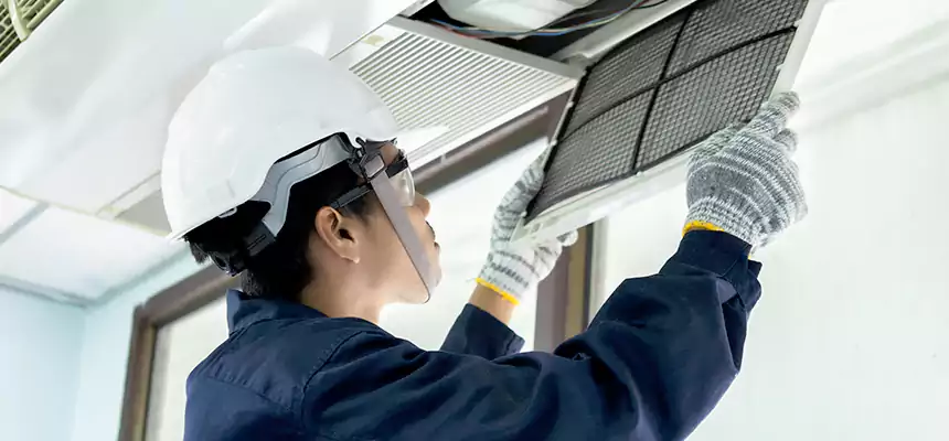 Our Mold & Mildew Removal from Air Ducts Services in Temple City, CA