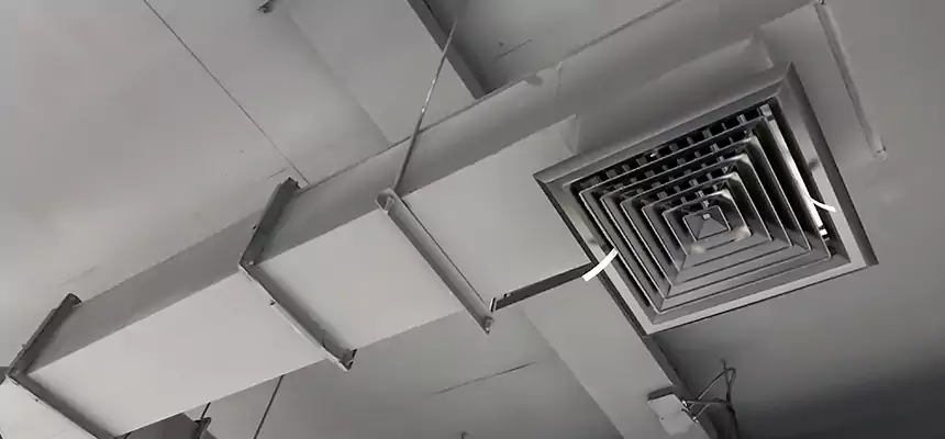 Our Rodent Droppings In Vents Services in Temple City, CA