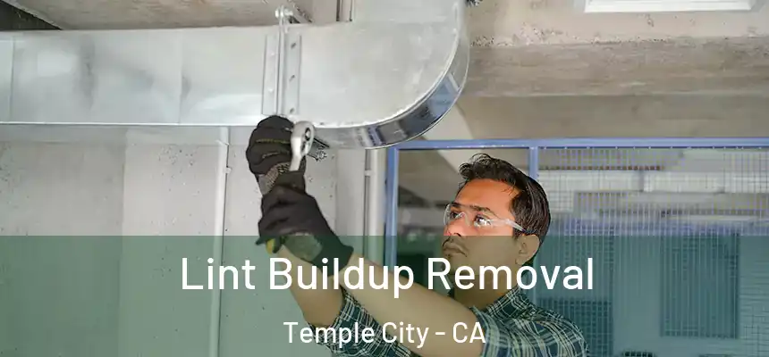  Lint Buildup Removal Temple City - CA