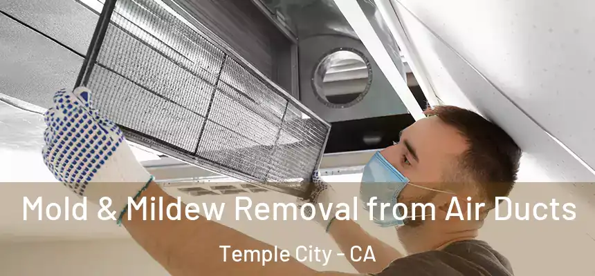  Mold & Mildew Removal from Air Ducts Temple City - CA