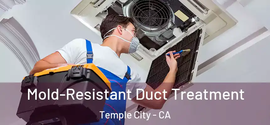Mold-Resistant Duct Treatment Temple City - CA