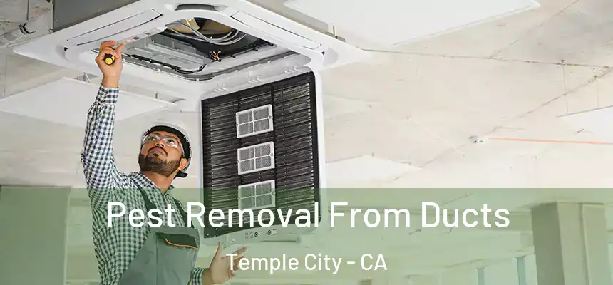  Pest Removal From Ducts Temple City - CA
