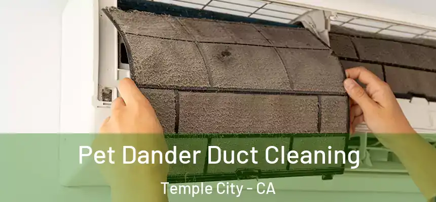 Pet Dander Duct Cleaning Temple City - CA
