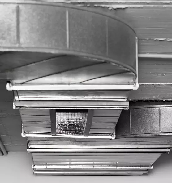 Professional Air Duct Pet Hair Removal in Temple City, CA