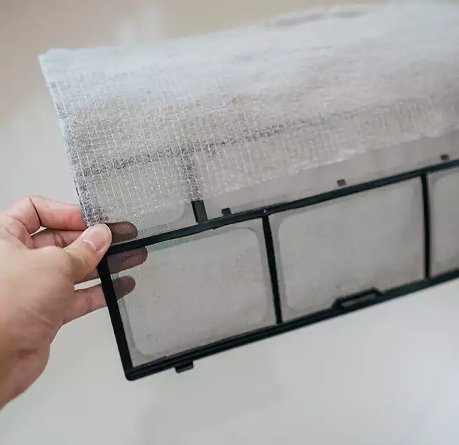 Why Homeowners & Businesses Trust Us in Temple City, CA?