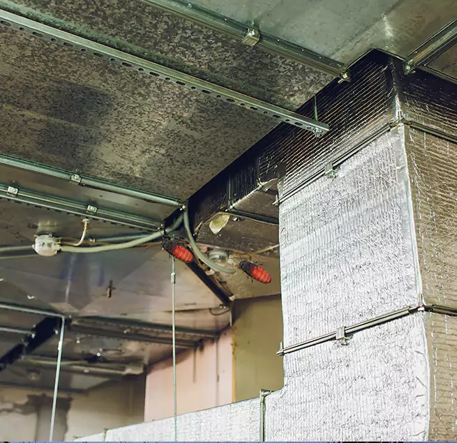 Why Homeowners & Businesses Trust Us Temple City, CA?