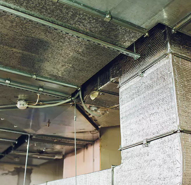 Why Homeowners & Businesses Trust Us in Temple City, CA?