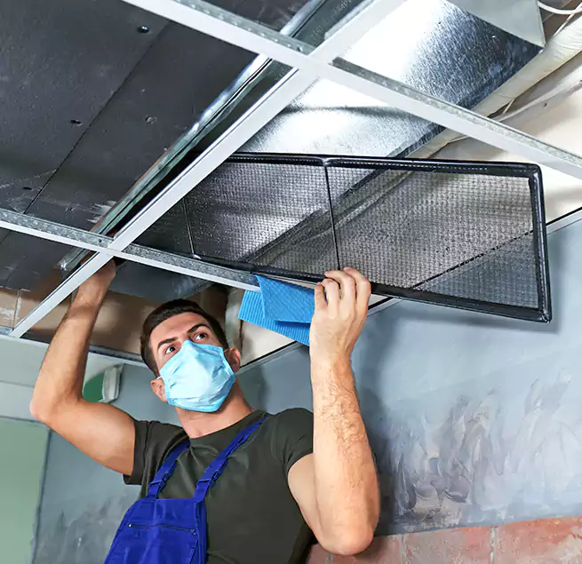 Why Homeowners Businesses Trust Us in Temple City, CA